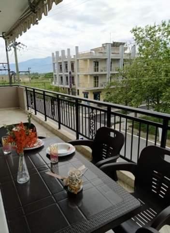 Elli Hostel *
