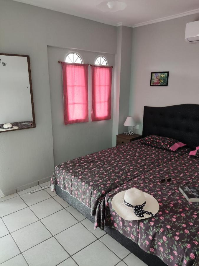 Hostel Elli