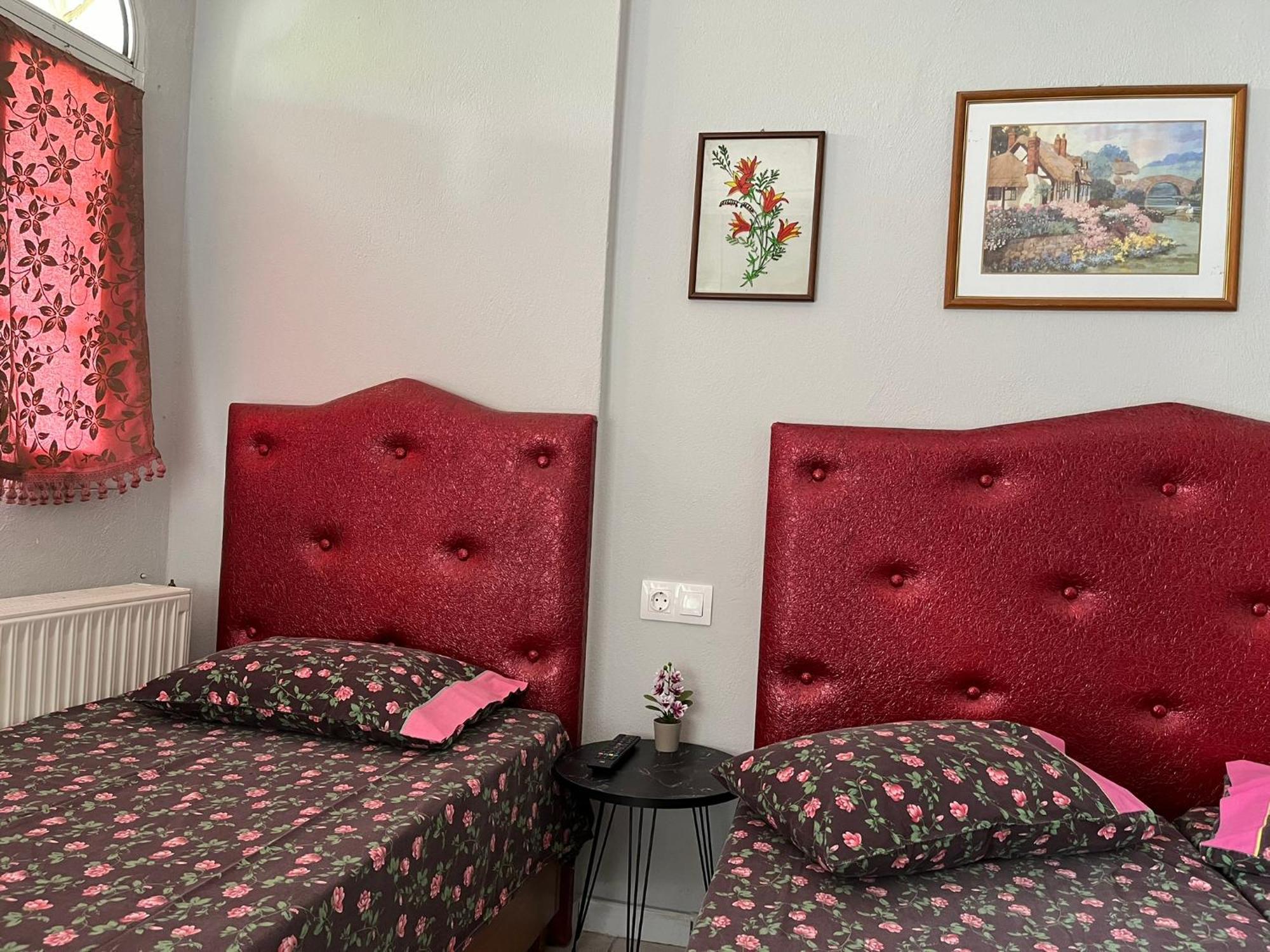 Hostel Elli *