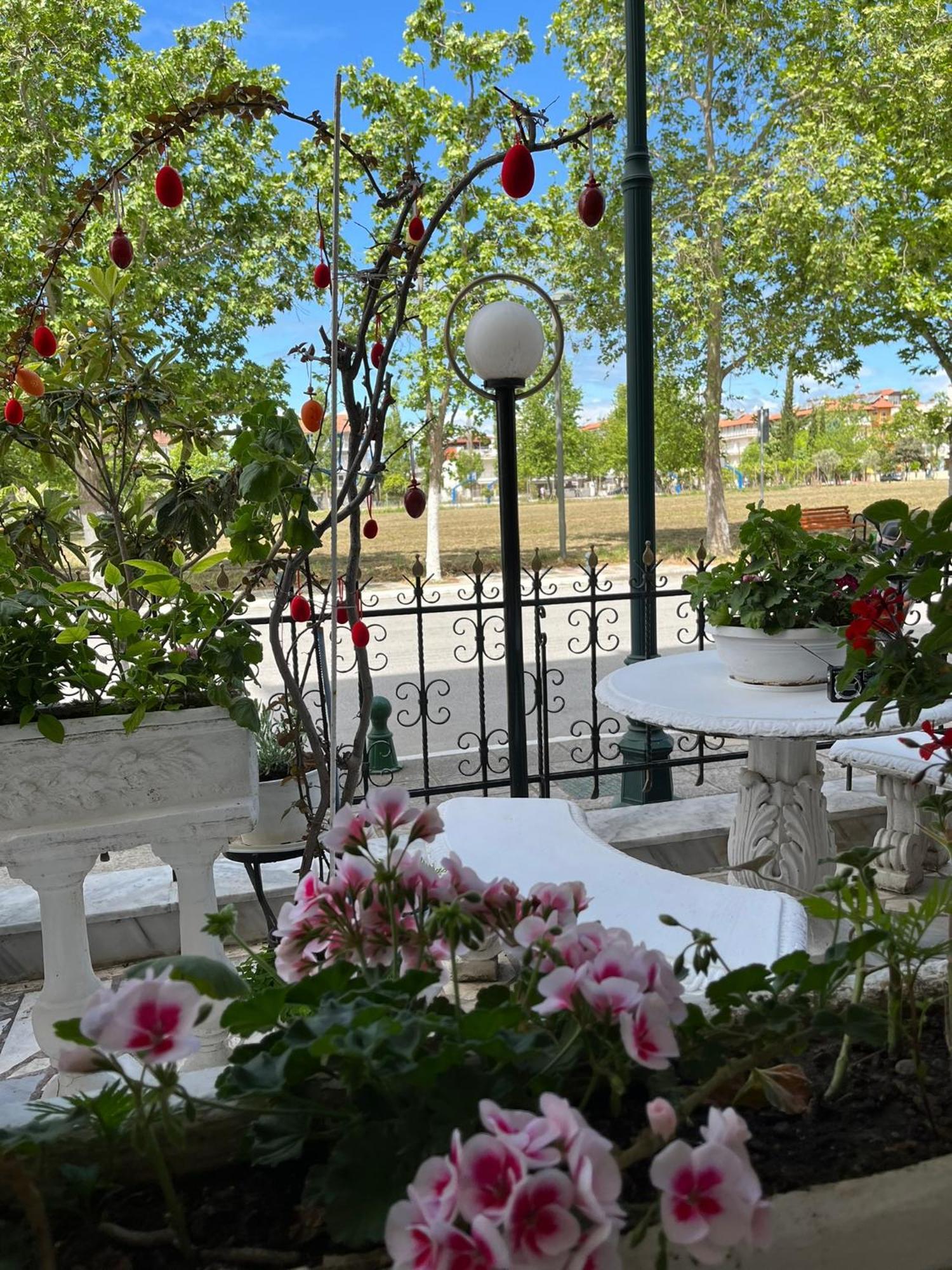 Elli Hostel Olympiaki Akti